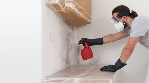 Professional Basement Mold Remediation technician working in Zebulon, GA