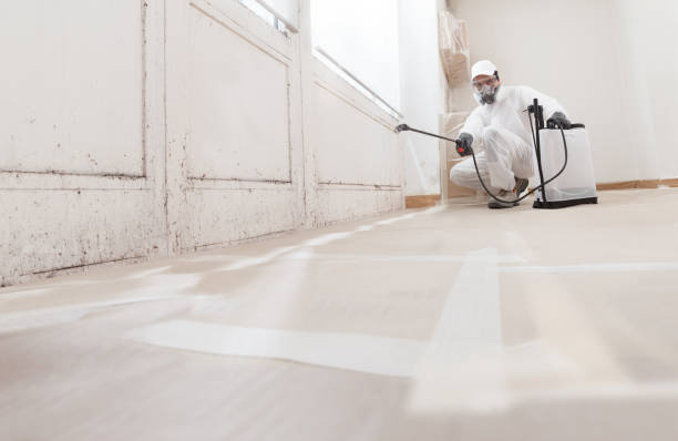 24/7 Emergency Basement Mold Remediation experts in Zebulon, GA