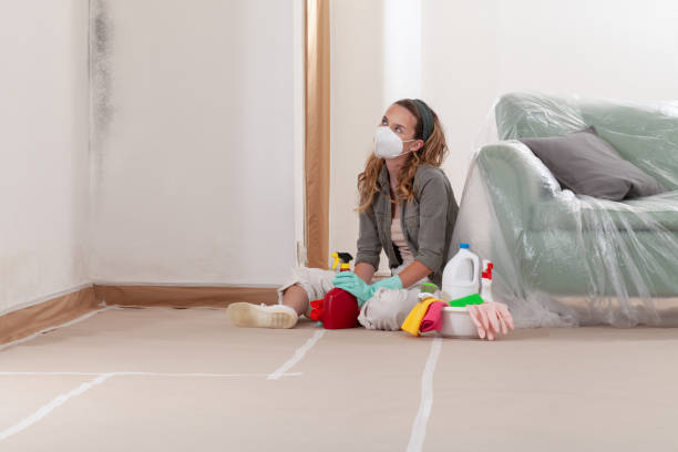 Reliable Basement Mold Remediation contractor in Zebulon, GA by WQB Mold Removal